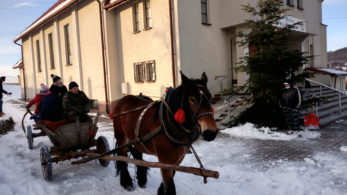 Zimowe zabawy przy Kościele w Trepczy.